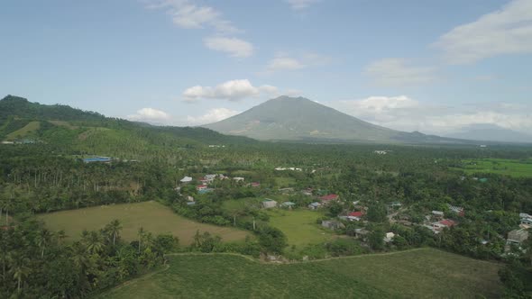 Palms Agricultural Land Mountainous Province