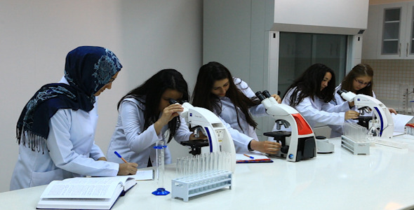 Laboratory 11