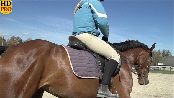 A Lady in Blue Jacket Doing a Horse Riding