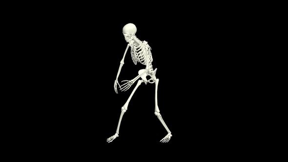 Skeleton Dancing