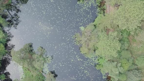 STATIC CROP, Aerial Tilt Shot of a forest pond revealing surrounding forest