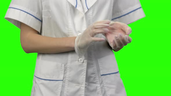 Woman Hands Putting on a Latex Gloves Isolated on a Green Background