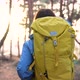 Girl Travels Through the Natural Park on Foot - VideoHive Item for Sale