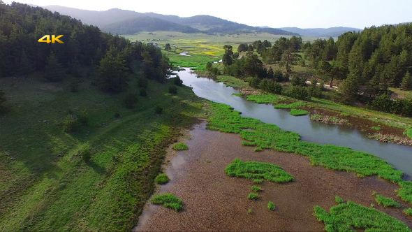 Aerial Flying Over Creek, Swamp and Reeds 2