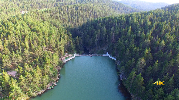 Aerial Flying Over Dam in the Pine Forest