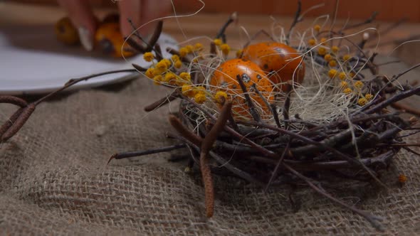 Hand Putting Quail Eggs in Easter Nest