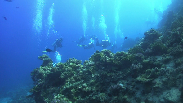 Group of Divers Swims Over Coral Reefs