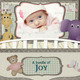Baby Photo Album or Announcement - VideoHive Item for Sale