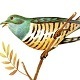 The Cuckoo Bird