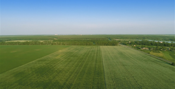 Flying Over Fields  