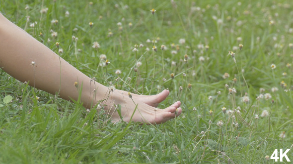 Feet Of Woman Sit On The Grass