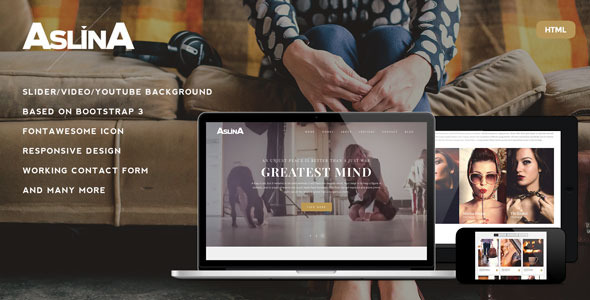 Aslina - Responsive One Page Portfolio HTML Template