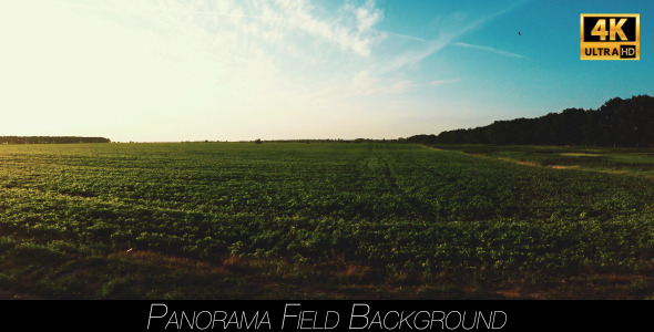 Panorama Field