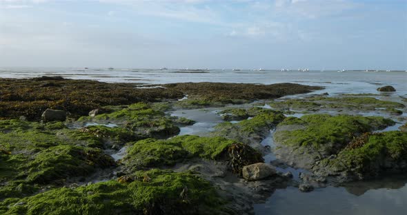 Damgan, Morbihan department, Brittany, France