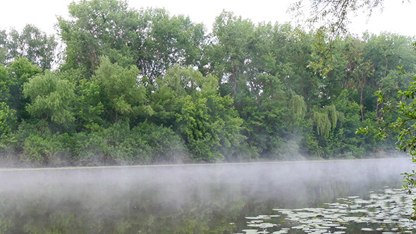 Morning Mist On The Calm River