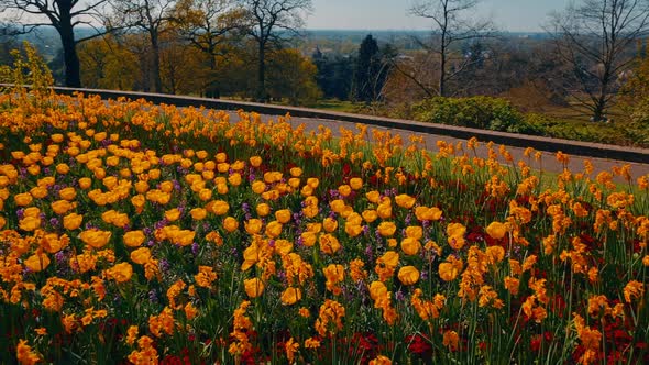 The spring on an English garden