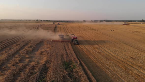 Aerial shot: combine pouring harvested wheat into tractor tipper