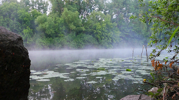 Morning Mist On The River