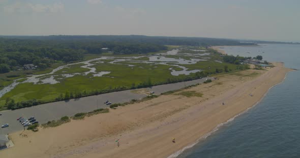 Flying Over a Sandy Beach Shore and Towards Dense Green Forest Trees