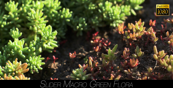 Green Flora 2
