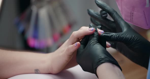 Manicurist Applies Gel Lacquer to the Nails of the Client at Beaty Salon Cosmetology and Beauty