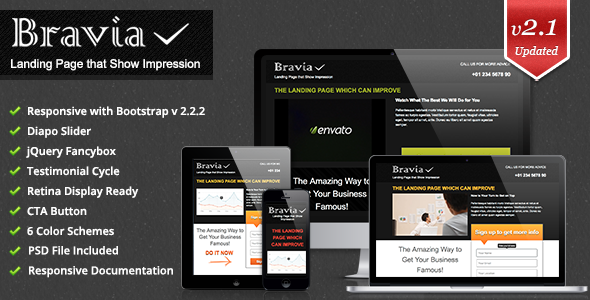 Bravia Landing Page