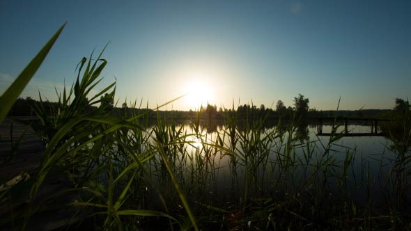 Sunrise On A Pond
