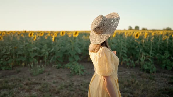 Attractive Woman in Oldfashioned Dress Walking Alone Near Sunflowers Field