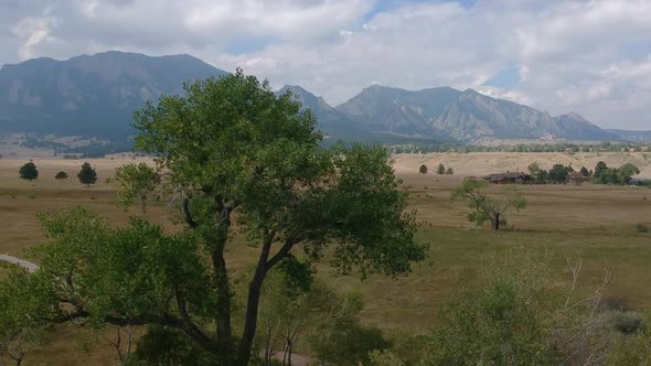 Going round tree and Flatirons