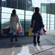Two Girlfriends with Bags in Their Hands are Walking Down Street - VideoHive Item for Sale