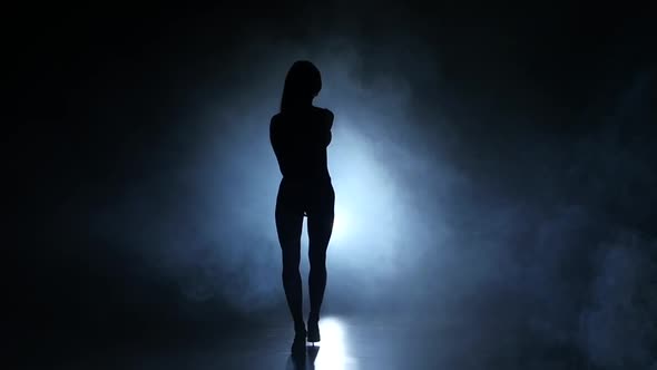 Silhouette Bodybuilding Girl Posing on Blue Smoke