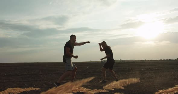 Two Strong Fighters Performing Martial Art in Soil Field with Dust on Sunset