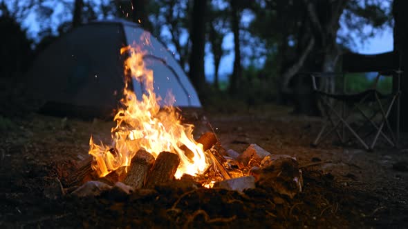 Camp Fire (4K)