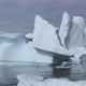 Icebergs on water, Cuverville Island, Antarctica - VideoHive Item for Sale