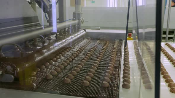 The Work of the Conveyor for Filling Chocolate and Forming Sweets at the Chocolate Factory