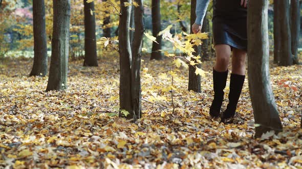 Woman legs in park. Close up of the walking woman legs in autumn park