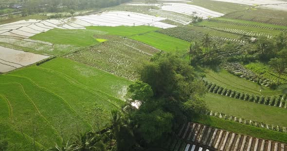 Descending aerial view of over flooded rice fields during cloudy day after storm in Indonesia