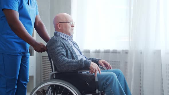 African-American caregiver and old disabled man in a wheelchair. Nurse and handicapped patient.