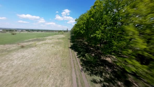 Aerial View with Trees