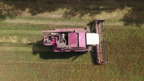 Combine Harvester Picks Up the Grain and Accumulates It in the Hopper