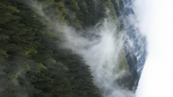 Vertical Video of Fog in the Mountains