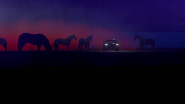 Foggy Horses and SUV 