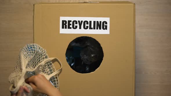 People Throwing Plastic Waste Into Box for Recyclable Materials, Utilizing Trash