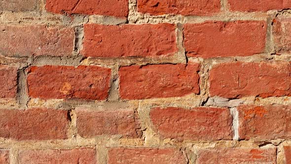 The Wall is Brick 3