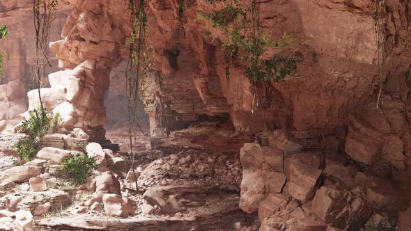 Inside a Limestone Cave with Plants and Sun Shine