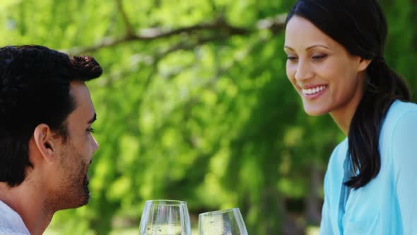 Couple toasting glasses of red wine in the park