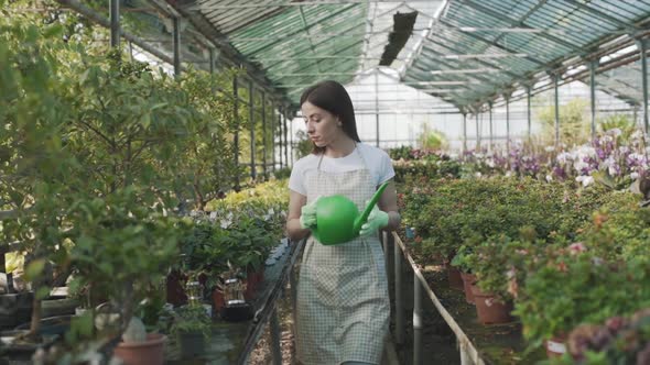 Happy female florist in apron watering houseplants and flowers. The girl takes care of houseplants i