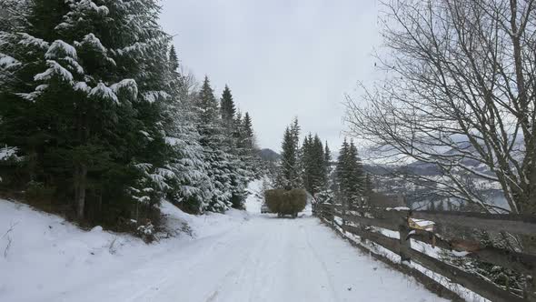 Dray rolling on a snowy road