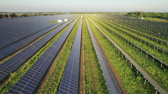 Aerial View of Solar Farm on the Green Field at Sunset Time Solar Panels in Row