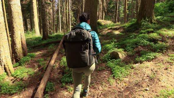 Hiking Woman Walk with a Hiking Backpack in Spring Green Forest